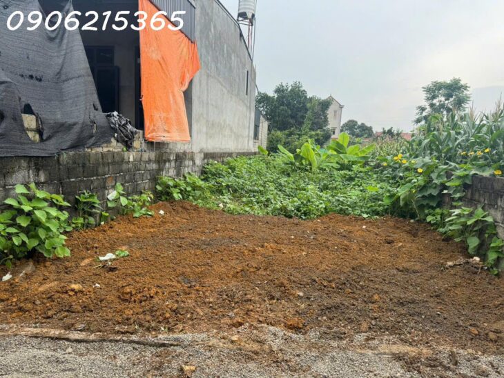 Tôi cần bán lô đất 136m2, Văn Sơn, Hoàng Văn Thụ, ngõ thông, ô tô