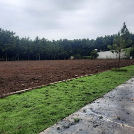 Sở Hữu Ngay Đất Đẹp Tại An Linh!