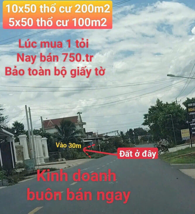 Sở Hữu Ngay Đất Đẹp Tại An Linh!