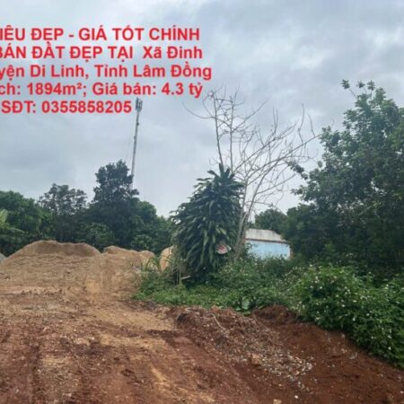 ĐẤT SIÊU ĐẸP – GIÁ TỐT CHÍNH CHỦ BÁN ĐẤT ĐẸP TẠI Xã Đinh Lạc, DI LINH – LÂM ĐỒNG