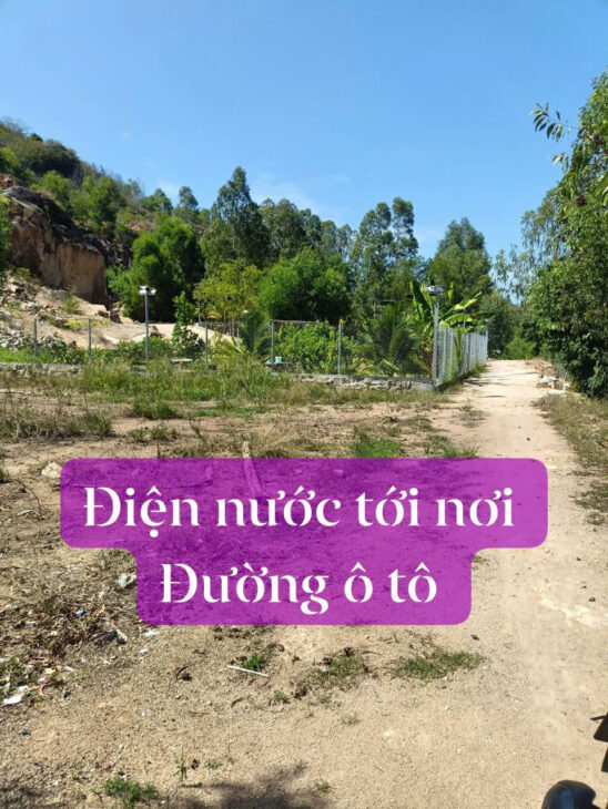 cần tiền bán Gấp lô đất Diện tích: hơn 1000m² Ngang 20m