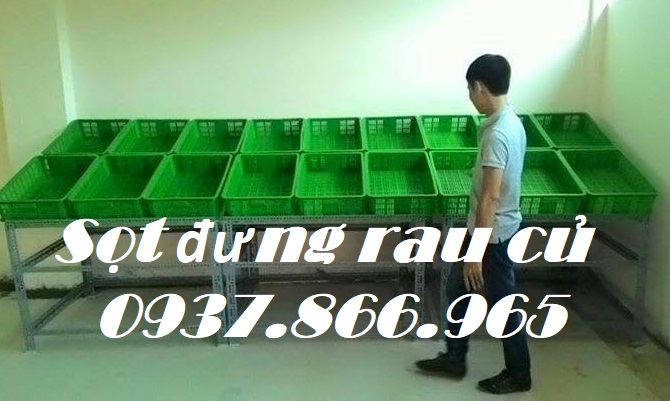 Tìm nhà phân phối sọt nhựa, đơn vị sản xuất sọt, sóng nhựa hở, sọt nhựa
