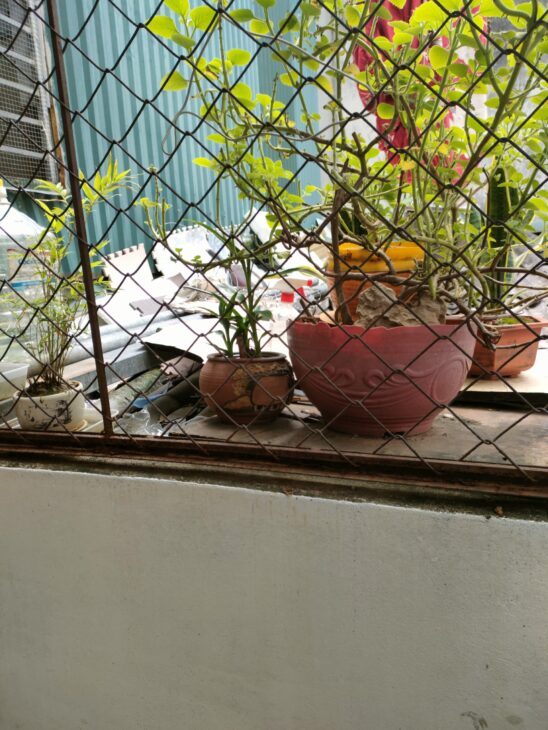 Hiếm hiếm Hậu Khuông, Bạch Mai 7m, 5 tầng, mặt tiền 1m/2.5m, 1 tỷ Hai Bà Trưng.