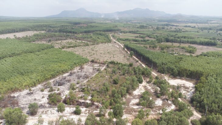 Bán 5.3 sào đất Tân Tiến – TX LaGi đường 10m chỉ 500tr/ sào