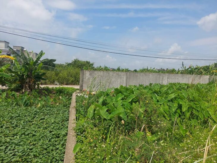 BÁN LÔ ĐẤT HIẾM – ĐẦU TƯ SINH LỜI CAO – PHÚ HỮU, TP. THỦ ĐỨC