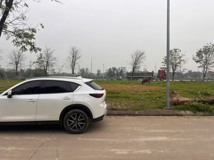 103m đấu giá khoang bèo xuân mai