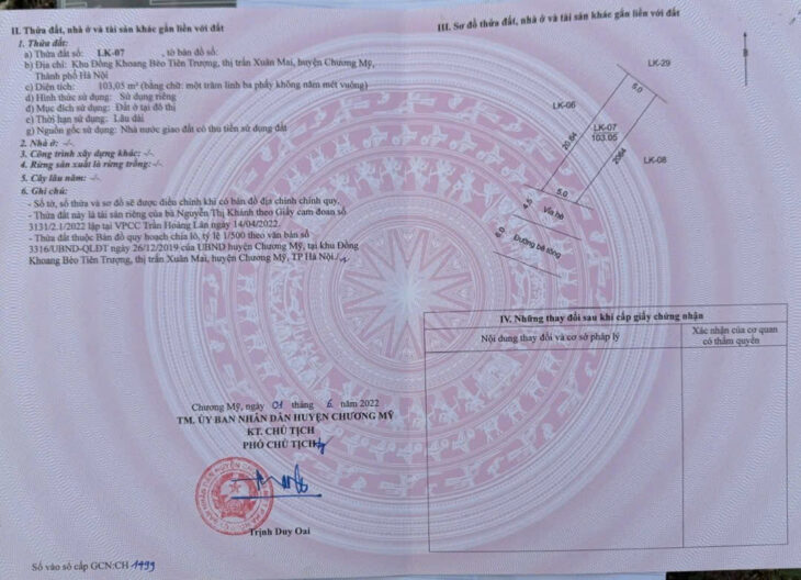 103m đấu giá khoang bèo xuân mai