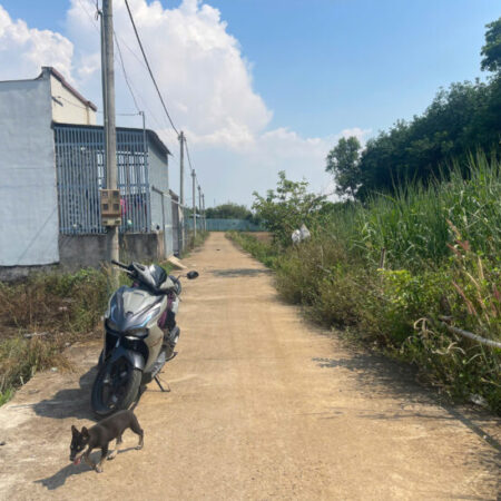 ???? Bán gấp đất Tây Hòa Trảng Bom – Gần Vành Đai 4, giá chỉ 785 triệu! ???? Bán gấp đất Tây Hòa Trảng Bom – Gần Vành Đai 4, giá chỉ 785 triệu!