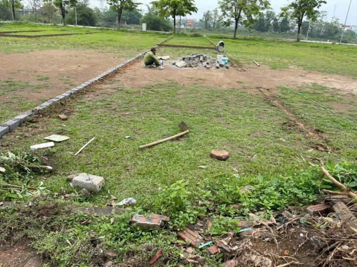 103m đấu giá khoang bèo xuân mai