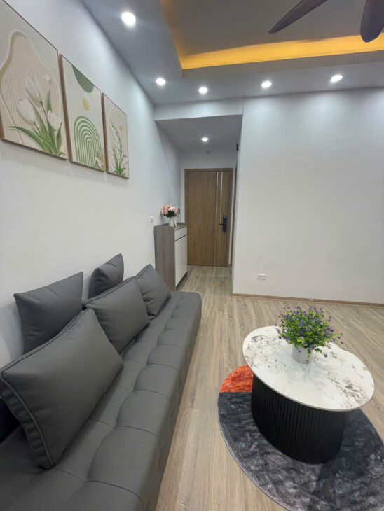 Bán căn hộ chung cư KVKL Nguyễn Xiển Hoàng Mai 56m2 x 2 ngủ tầng 9 giá chỉ 3 tỷ