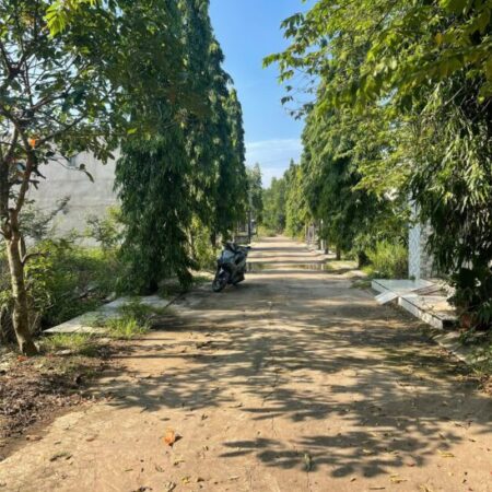 ???? Lô đất đẹp xã An Viễn, Đồng Nai – giấy tờ đầy đủ – giá 850 triệu!