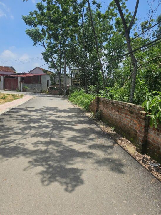 Bán đất đầu tư KD xây biệt thự Thôn 4 Phú Cát full thổ 686m giá rẻ nhỉnh 20tr