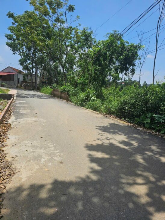 Bán đất đầu tư KD xây biệt thự Thôn 4 Phú Cát full thổ 686m giá rẻ nhỉnh 20tr