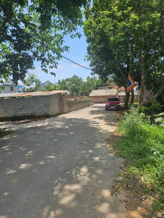 Bán đất đầu tư KD xây biệt thự Thôn 4 Phú Cát full thổ 686m giá rẻ nhỉnh 20tr