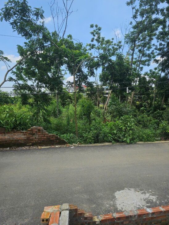 Bán đất đầu tư KD xây biệt thự Thôn 4 Phú Cát full thổ 686m giá rẻ nhỉnh 20tr