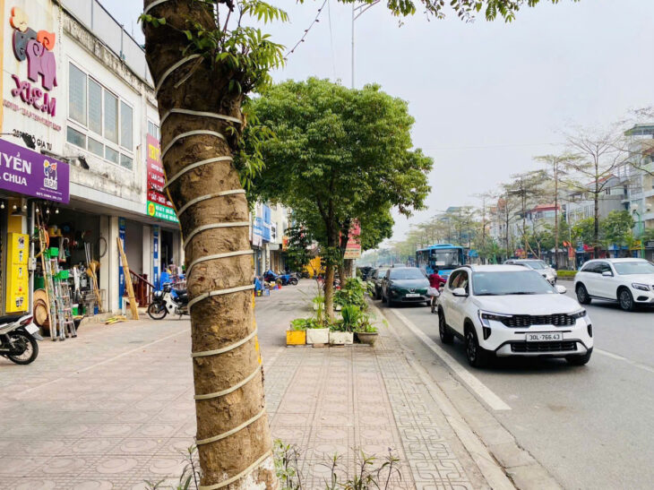 MẢNH ĐẤT RỘNG – GIÁ ĐẦU TƯ – NGÕ THÔNG – PHÙ HỢP XÂY TÒA NHÀ CĂN HỘ ???? ???? Vị trí: Ngô Gia Tự, –