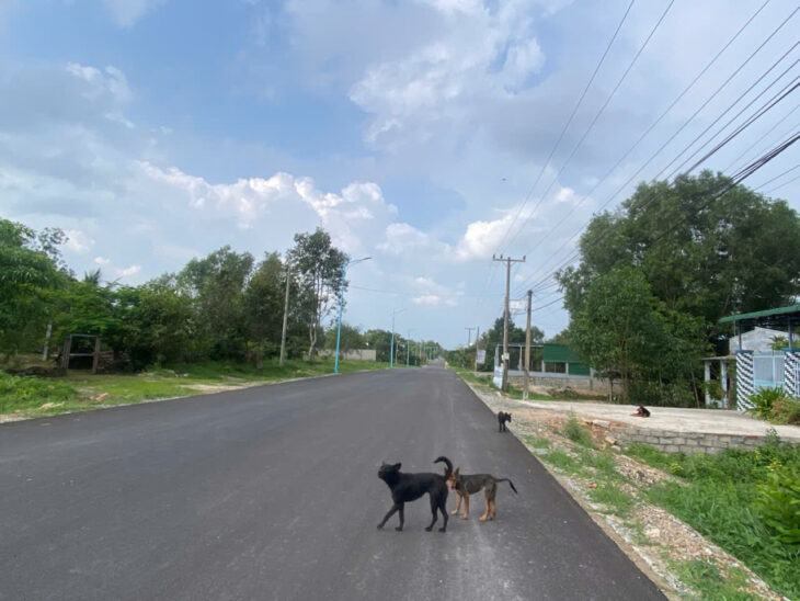 Bán 1522m2 đất Mặt tiền Lý Nam Đế – TX LaGi giá rẻ nhất sổ hồng riêng