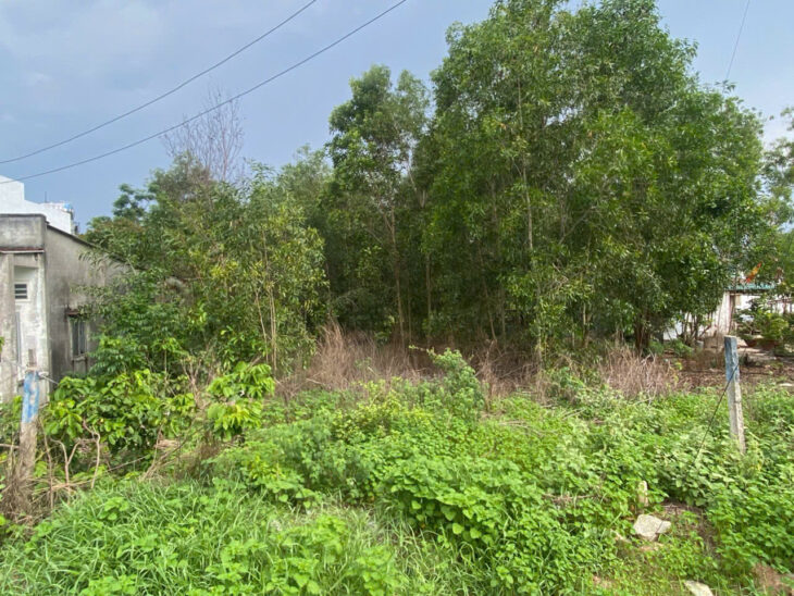 Bán 1522m2 đất Mặt tiền Lý Nam Đế – TX LaGi giá rẻ nhất sổ hồng riêng