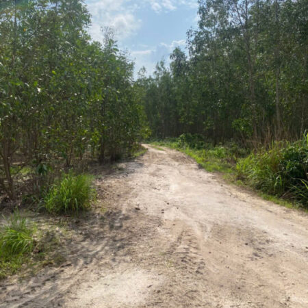 Bán 8.3 sào đất Tân Bình – TX LaGi giá rẻ nhất 197tr/ sào sổ riêng đường 4m Bán 8.3 sào đất Tân Bình – TX LaGi giá rẻ nhất 197tr/ sào sổ riêng đường 4m