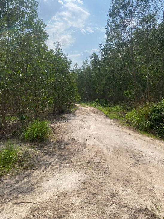 Bán 8.3 sào đất Tân Bình – TX LaGi giá rẻ nhất 197tr/ sào sổ riêng đường 4m