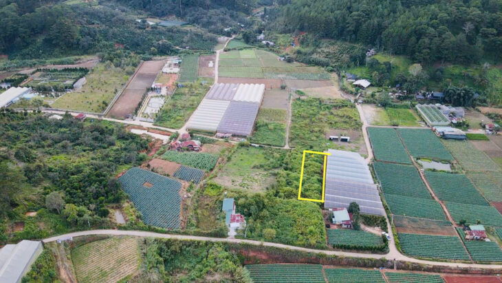 Đà Lạt còn sót lại 1 lô sổ riêng gần 700m2 – đường bê tông lớn – giá đầu 2 chấm