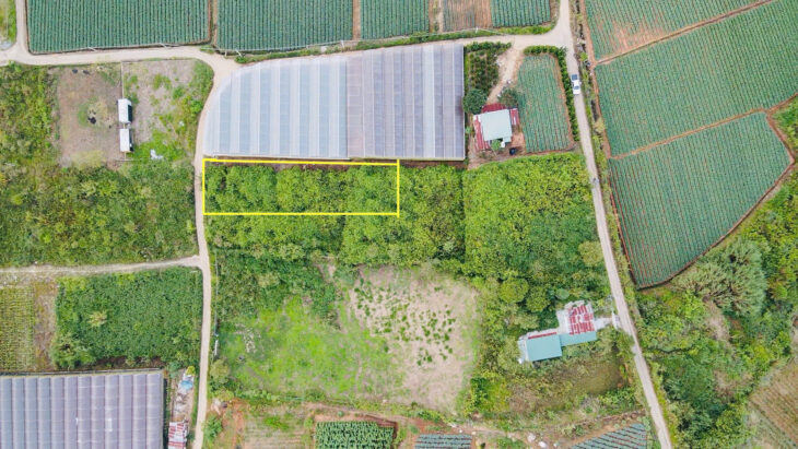 Đà Lạt còn sót lại 1 lô sổ riêng gần 700m2 – đường bê tông lớn – giá đầu 2 chấm