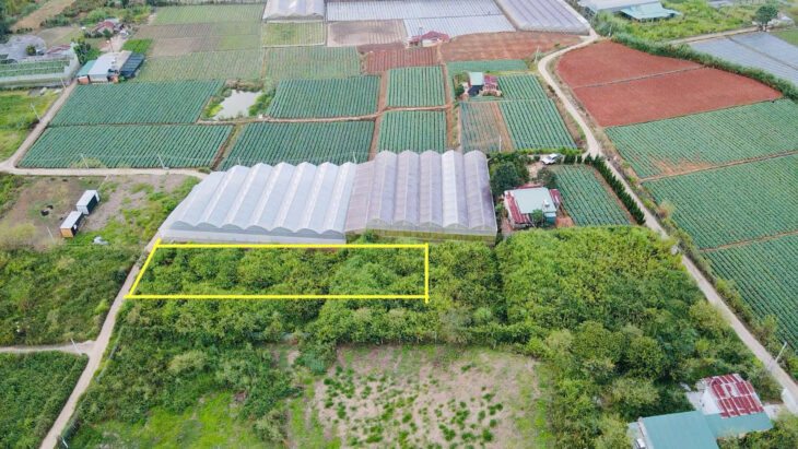 Đà Lạt còn sót lại 1 lô sổ riêng gần 700m2 – đường bê tông lớn – giá đầu 2 chấm