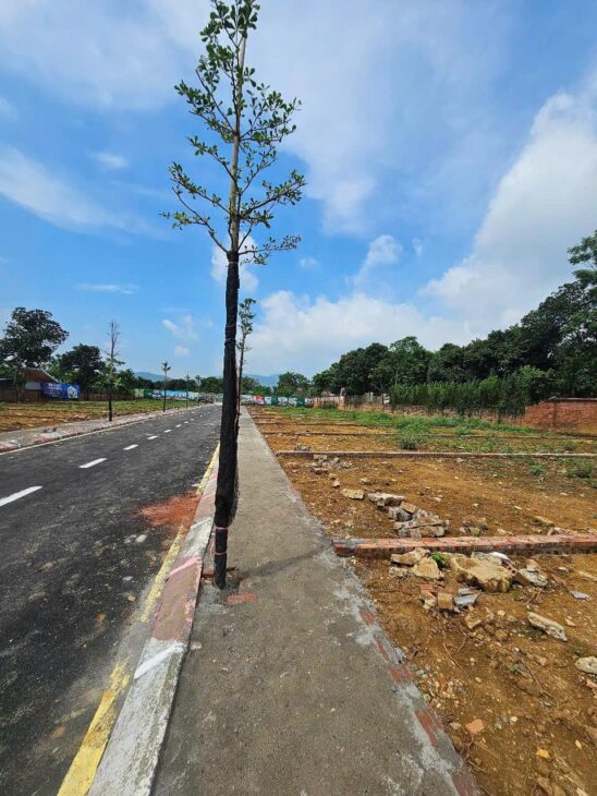 Bán đất đầu tư vị trí đẹp Vai Réo đường thông rộng ôtô tránh 105m nhỉnh 4ty
