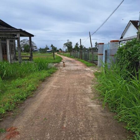 Cần bán đất nền trồng cây hằng năm tại Xã Mộ Đức, Quảng Ngãi