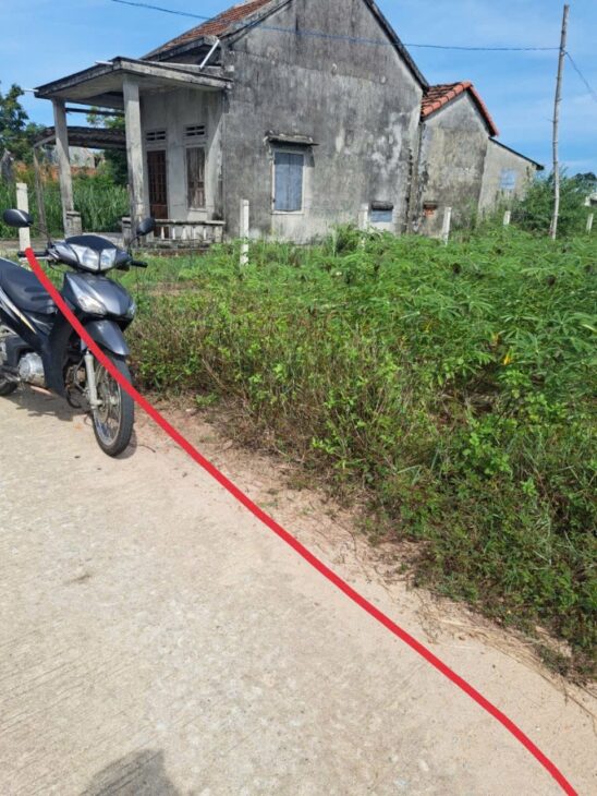 Cần bán đất nền trồng cây hằng năm tại Xã Mộ Đức, Quảng Ngãi