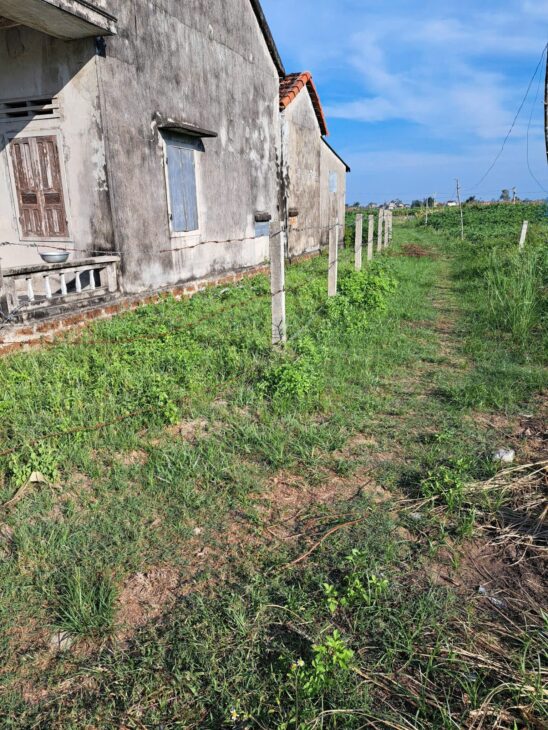 Cần bán đất nền trồng cây hằng năm tại Xã Mộ Đức, Quảng Ngãi