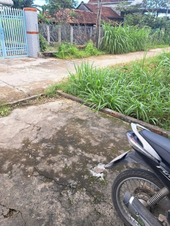 Cần bán đất nền trồng cây hằng năm tại Xã Mộ Đức, Quảng Ngãi