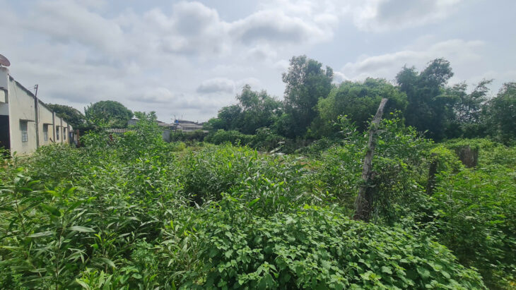 Bán 499m2 đất thổ cư Tân Phước, thị xã LaGi gần Biển giá rẻ nhất