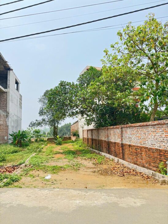 Mảnh đất Trại Hồ Cổ Đông chỉ dành cho nhà đầu tư đường thông rộng 109m nhỉnh 3ty
