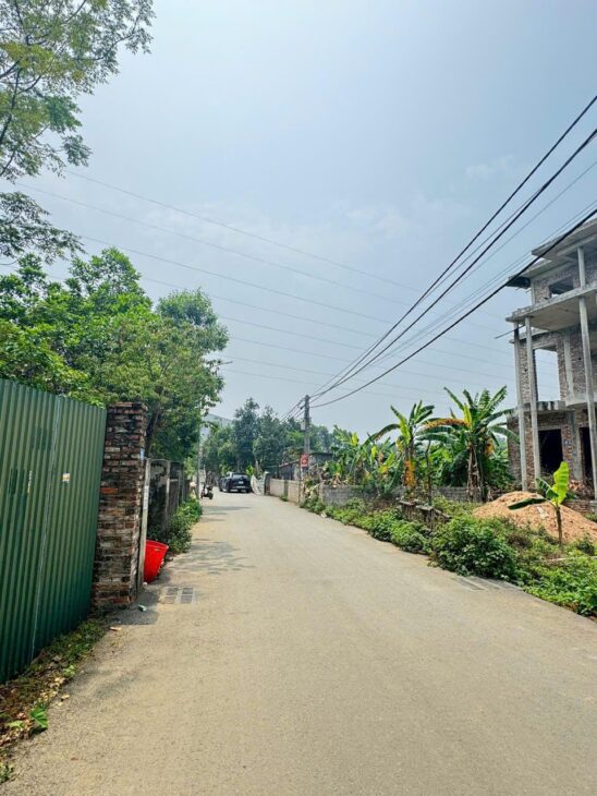 Mảnh đất Trại Hồ Cổ Đông chỉ dành cho nhà đầu tư đường thông rộng 109m nhỉnh 3ty
