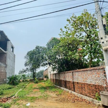 Mảnh đất Trại Hồ Cổ Đông chỉ dành cho nhà đầu tư đường thông rộng 109m nhỉnh 3ty