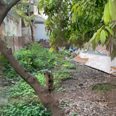 Đàm Quang Trung – Đất 41m2 – MT 4m – Ô tô – chỉ 5 t.ỷ