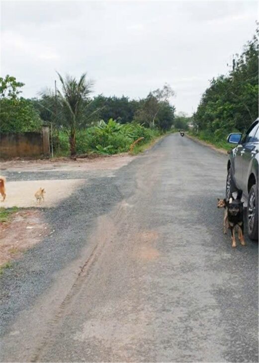 LÔ ĐẤT VỊ TRÍ ĐẸP- GIÁ TỐT Cần tiền gấp bán cắt lỗ, giảm sâu lô đất mặt tiền đường nhựa 30m tại