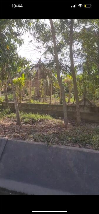 Chính Chủ Cần Bán Đất Mặt Tiền Đường Nhựa Tại P. Gia Bình, TX Trảng Bàng, Tây Ninh