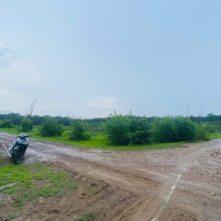 Bán ddaa50m x 50m đất thổ cư Tân Hà, Hàm Tân giá rẻ 45tr/m ngang Bán ddaa50m x 50m đất thổ cư Tân Hà, Hàm Tân giá rẻ 45tr/m ngang