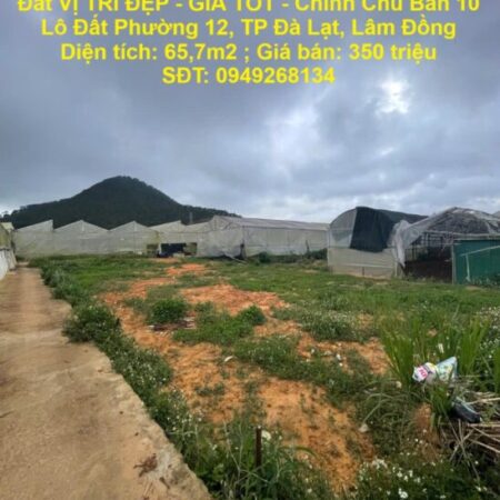 Đất VỊ TRÍ ĐẸP – GIÁ TỐT – Chính Chủ Bán 10 Lô Đất Phường 12, TP Đà Lạt, Lâm Đồng Đất VỊ TRÍ ĐẸP – GIÁ TỐT – Chính Chủ Bán 10 Lô Đất Phường 12, TP Đà Lạt, Lâm Đồng
