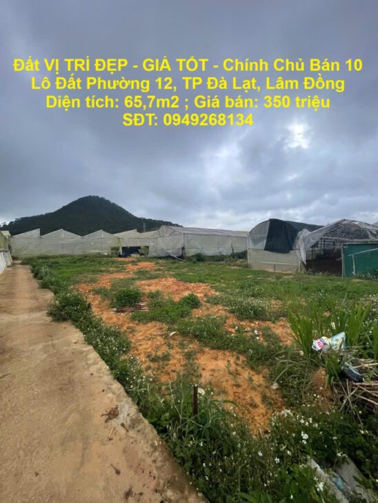 Đất VỊ TRÍ ĐẸP – GIÁ TỐT – Chính Chủ Bán 10 Lô Đất Phường 12, TP Đà Lạt, Lâm Đồng