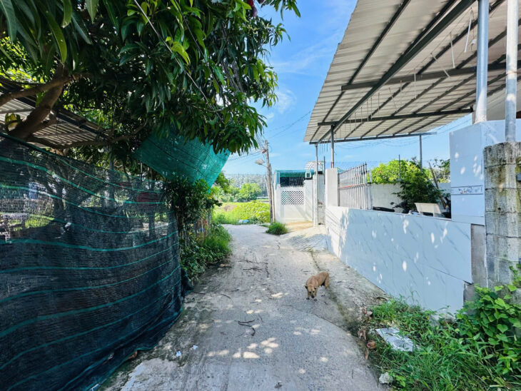 Bán nhà 7m x 24m Hẻm Lê Minh Công, Phước Lộc, LaGi giá rẻ 1.15 tỷ