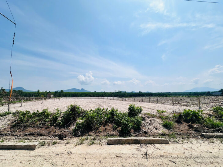 Bán 2849m2 đất Hẻm Lê Đức Thọ, Tân Bình, LaGi giá rẻ 800 triệu