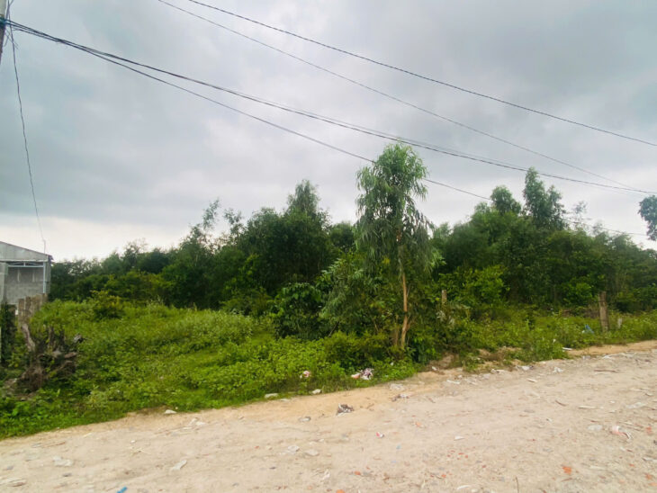 Bán 1539m2 đất ODT Tân Bình – TX LaGi giá ngộp 1.1 tỷ sổ riêng