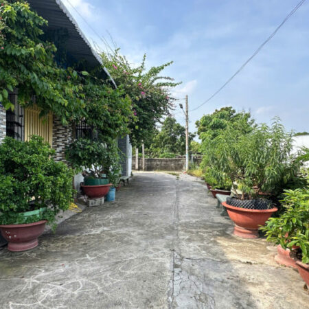 Bán 5m x 25m đất ODT P. Tân An – TX LaGi giá rẻ nhất 770 triệu sổ hồng riêng