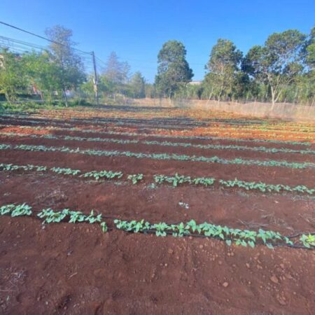 CHÍNH CHỦ Cần Bán Đất Vị Trí Đẹp Ngay Ngã Tư Xã Thuận Hà, Đắk Song, Lâm Đồng (Đắk Nông)