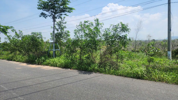 Bán 20.5m x 164m đất mặt tiền Hùng Vương – LaGi chỉ 375tr/m ngang view Biển