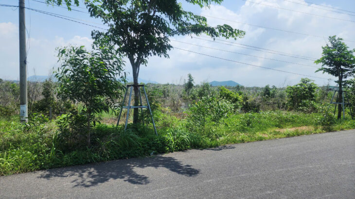 Bán 20.5m x 164m đất mặt tiền Hùng Vương – LaGi chỉ 375tr/m ngang view Biển