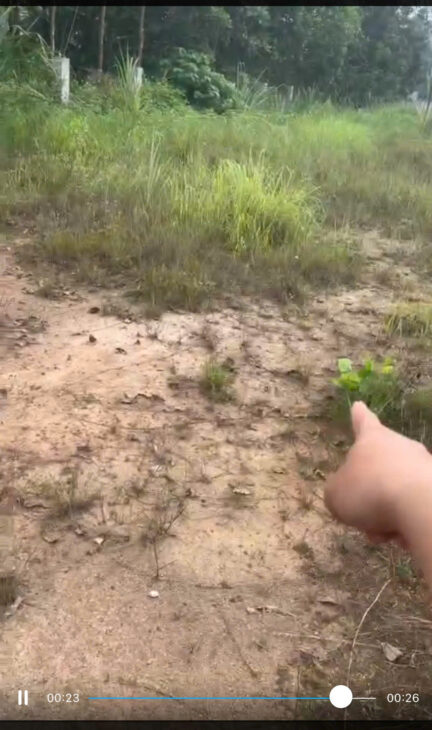 CHÍNH CHỦ CẦN BÁN LÔ ĐẤT BĂNG 2 TẠI KHU PHÚ HỘ – THỊ XÃ PHÚ THỌ